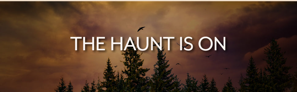 Ask for Andrea: Deluxe Stenciled Edges