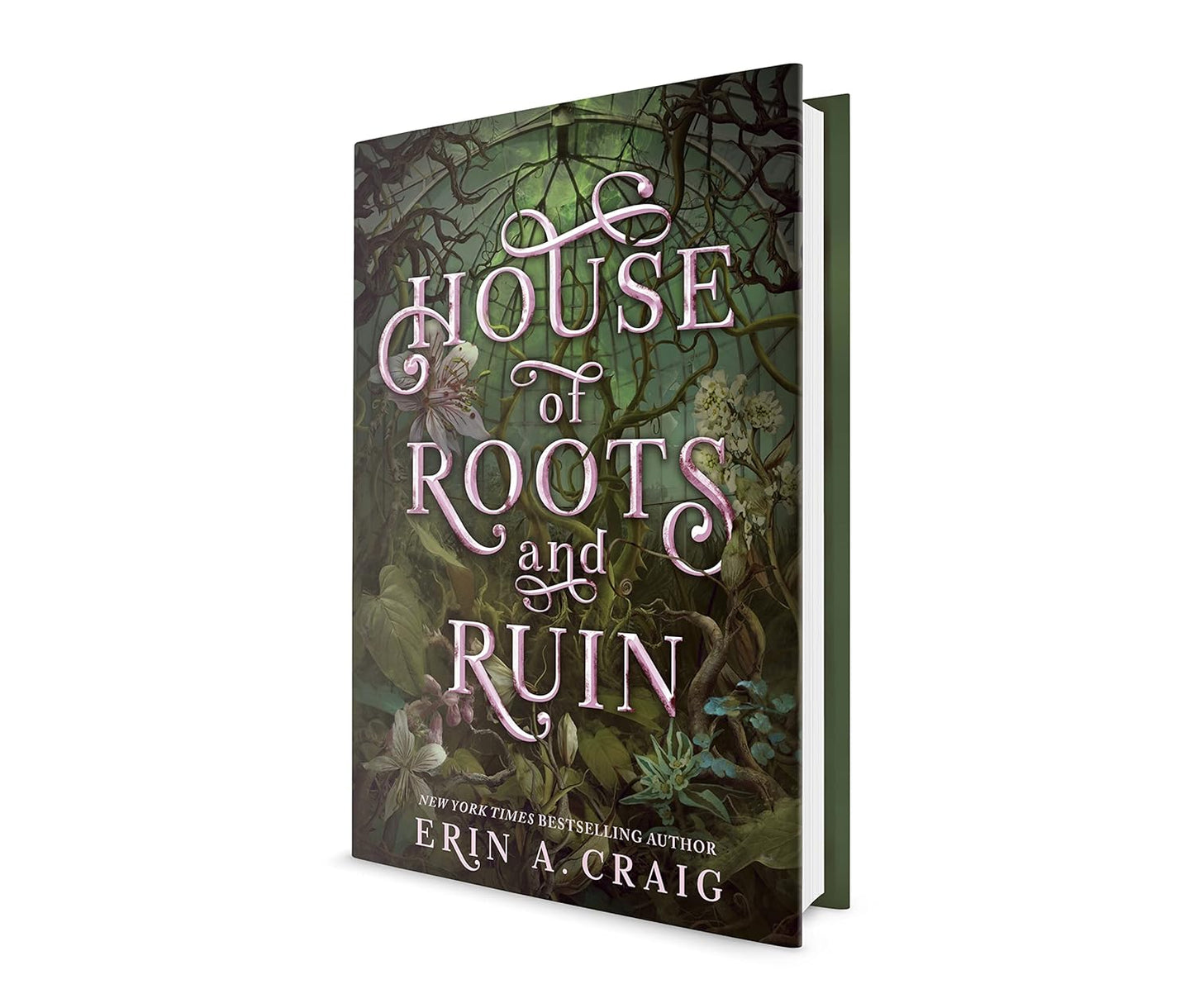 House of Roots and Ruin (Sisters of the Salt)  Book 2 of 2