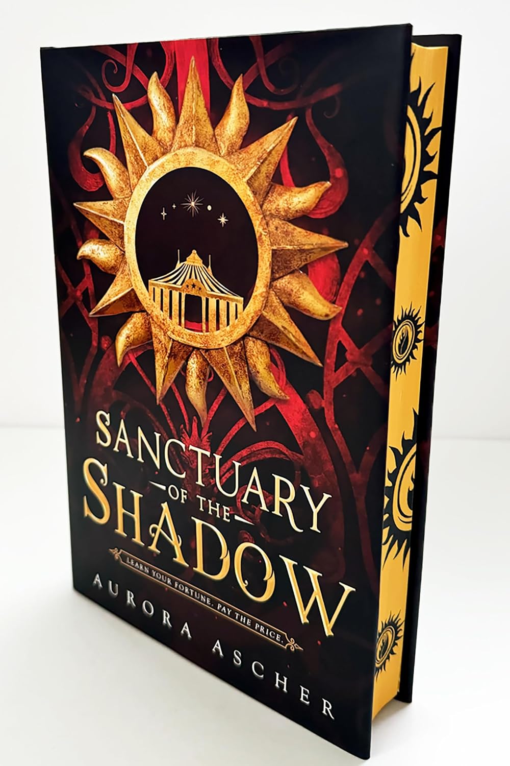 Sanctuary of the Shadow (Elemental Emergence, 1)