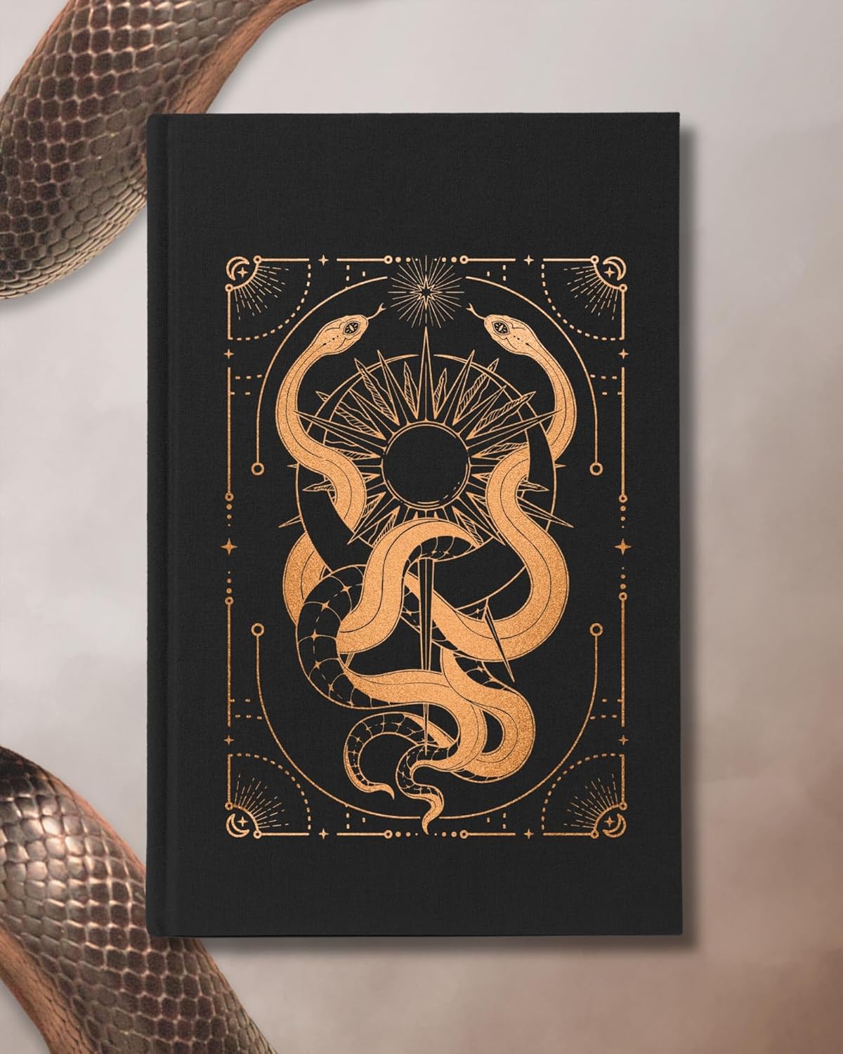 Verity Guild: An Enemies-to-Lovers Romantasy