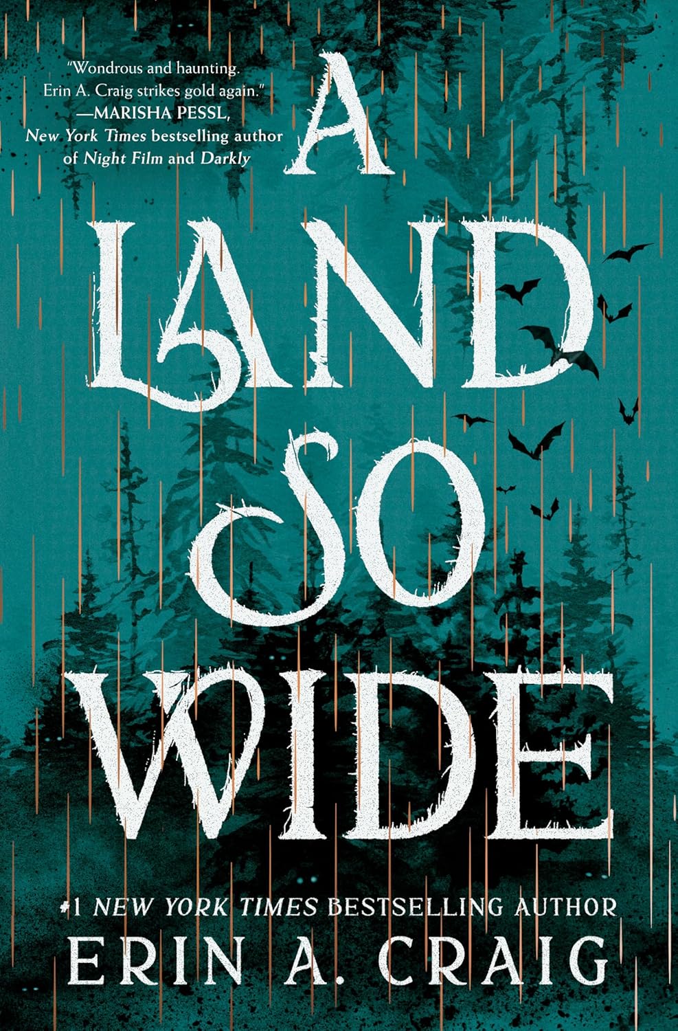 A Land So Wide: A Novel