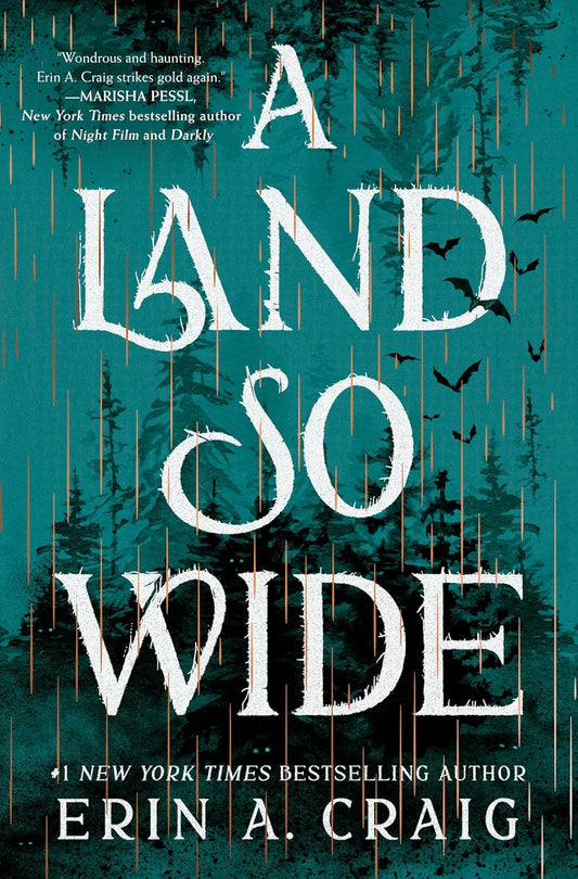 A Land So Wide: A Novel