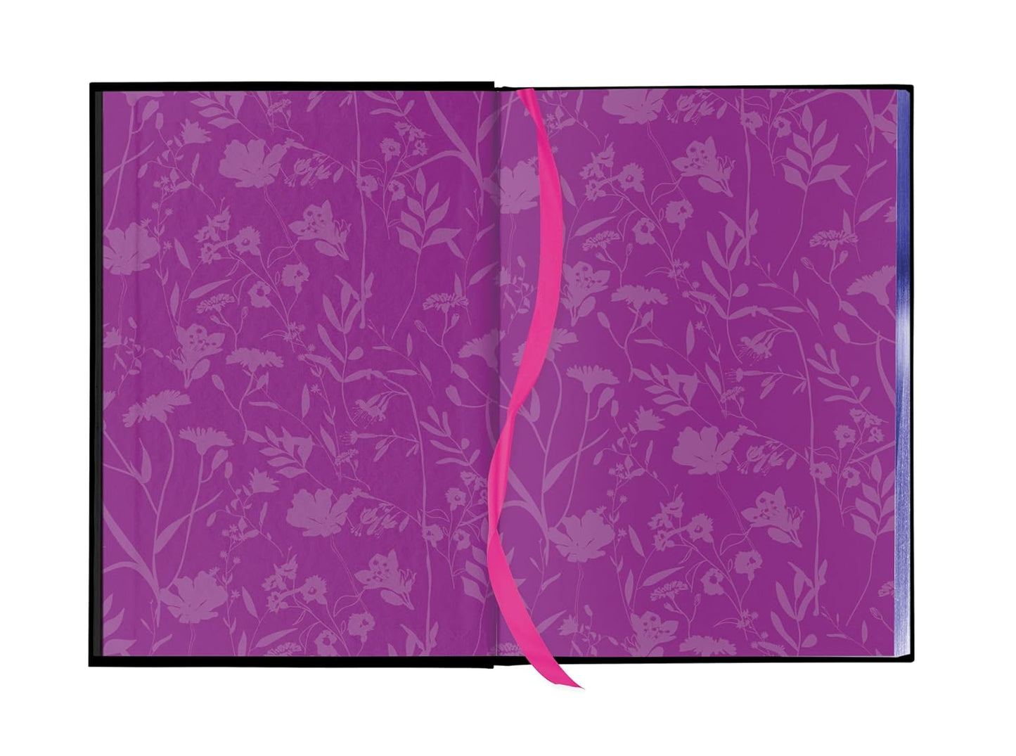 Fairy Tale Retellings, Volume