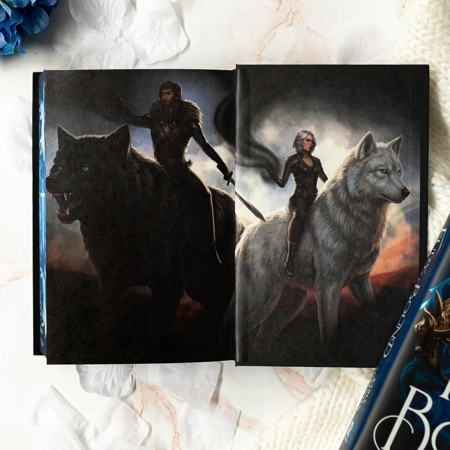 Fury Bound (Deluxe Limited Edition) (The Wolves of Ruin, 2)