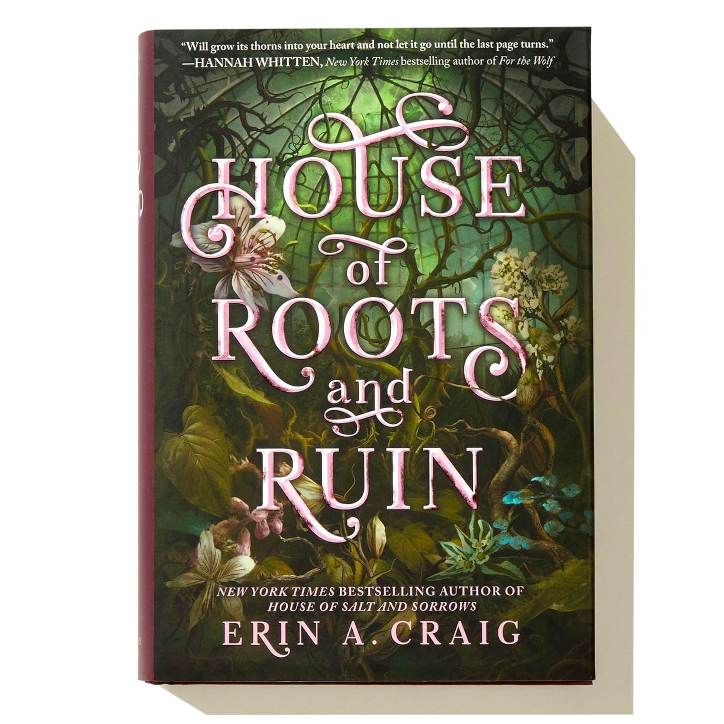 House of Roots and Ruin (Sisters of the Salt)  Book 2 of 2